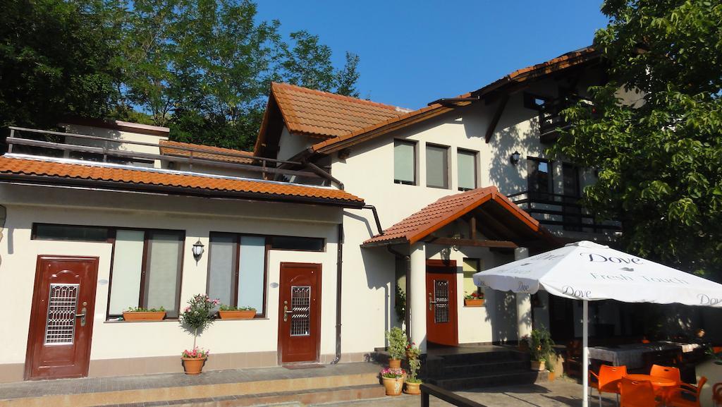 Vila Europa Sărata-Monteoru Extérieur photo