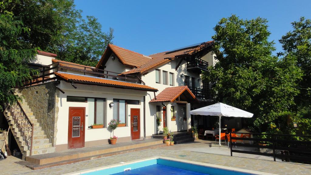 Vila Europa Sărata-Monteoru Extérieur photo