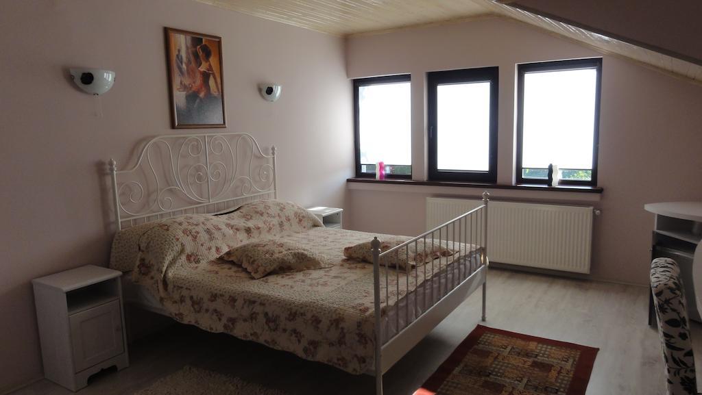 Vila Europa Sărata-Monteoru Chambre photo